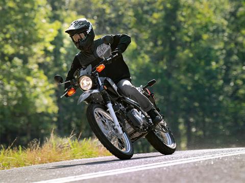 2023 Yamaha XT250 in Rutland, Vermont - Photo 15