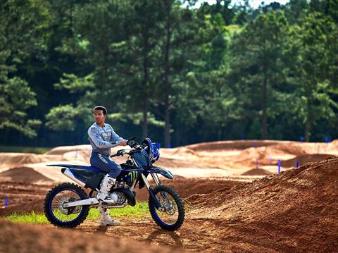 2023 Yamaha YZ250 Monster Energy Yamaha Racing Edition in Greenville, North Carolina - Photo 16