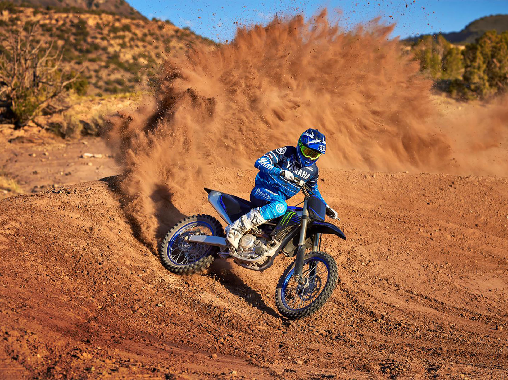 2023 Yamaha YZ450F Monster Energy Yamaha Racing Edition in Las Vegas, Nevada - Photo 15