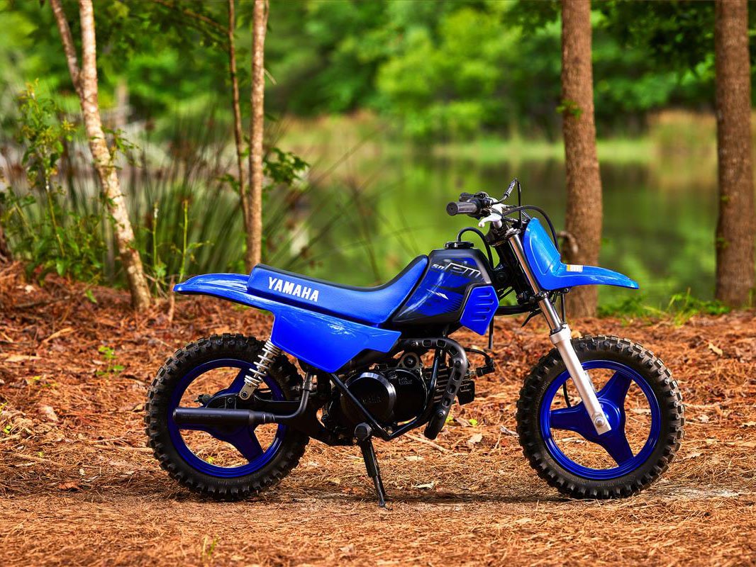 2023 Yamaha PW50 in Derry, New Hampshire - Photo 6