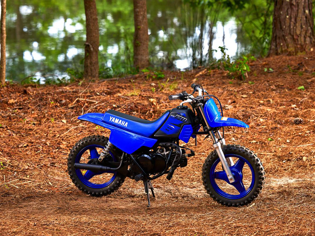 2023 Yamaha PW50 in Middletown, New York - Photo 7