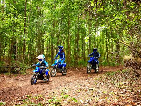 2023 Yamaha PW50 in Purvis, Mississippi - Photo 13