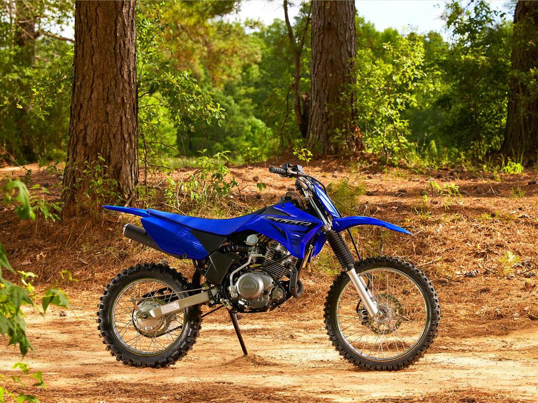2023 Yamaha TT-R125LE in Orlando, Florida - Photo 15