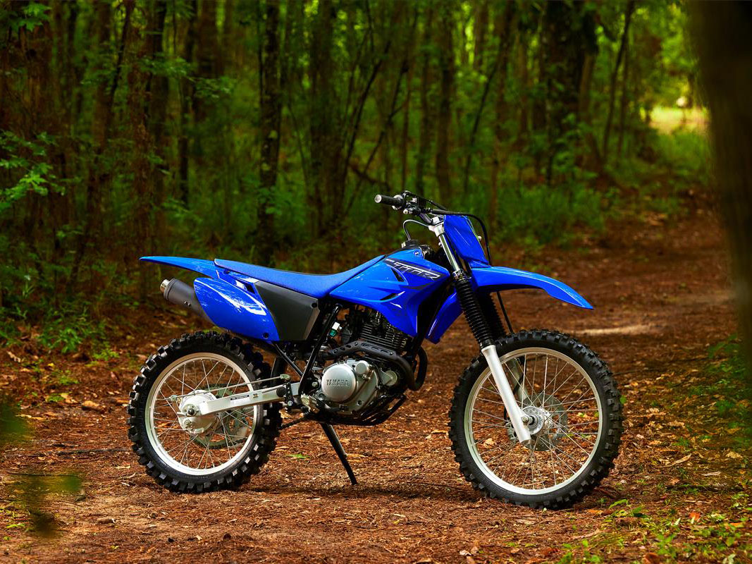2023 Yamaha TT-R230 in Jasper, Alabama - Photo 7