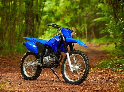 2023 Yamaha TT-R230 in Wake Forest, North Carolina - Photo 15