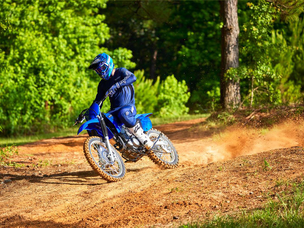 2023 Yamaha TT-R230 in Hendersonville, North Carolina - Photo 14