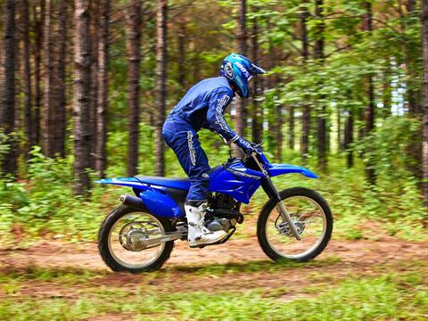 2023 Yamaha TT-R230 in Jasper, Alabama - Photo 16
