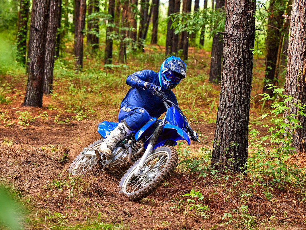 2023 Yamaha TT-R230 in Wake Forest, North Carolina - Photo 24