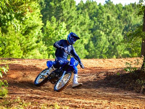 2023 Yamaha TT-R230 in Brewton, Alabama - Photo 13