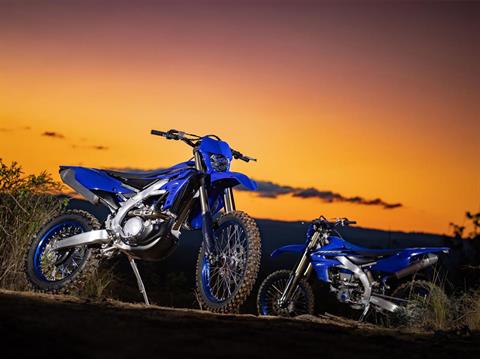 2023 Yamaha WR250F in Louisville, Tennessee - Photo 12