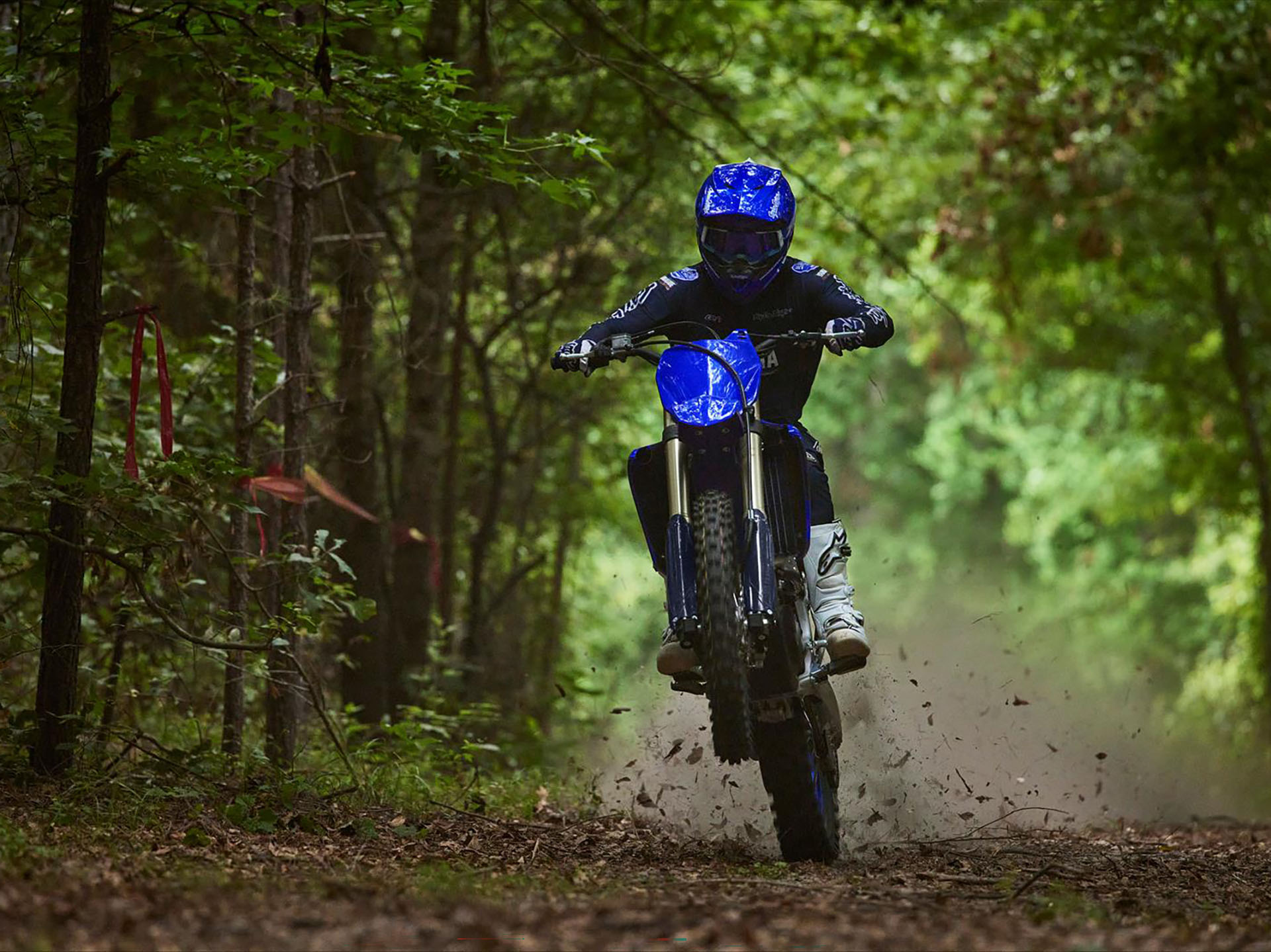2023 Yamaha YZ250FX in Derry, New Hampshire - Photo 6