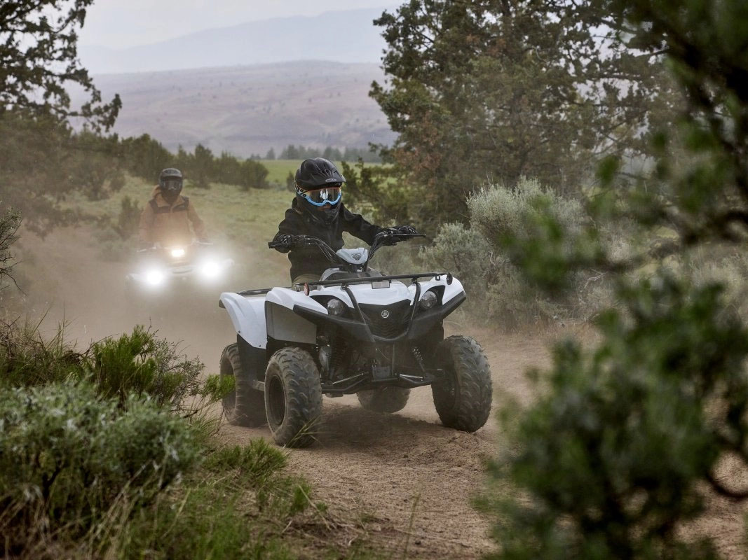 2024 Yamaha Grizzly 90 in Florence, Colorado - Photo 13