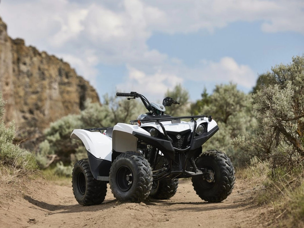 2024 Yamaha Grizzly 90 in Middletown, New York - Photo 11