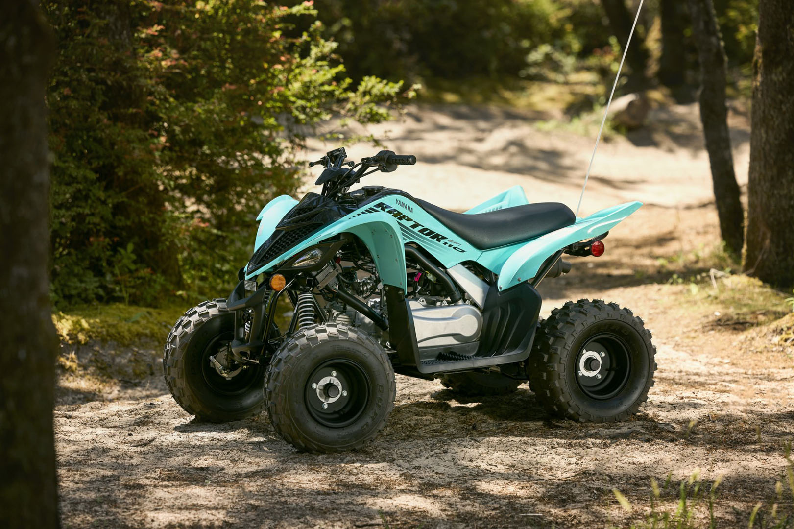 2024 Yamaha Raptor 110 in Derry, New Hampshire - Photo 9