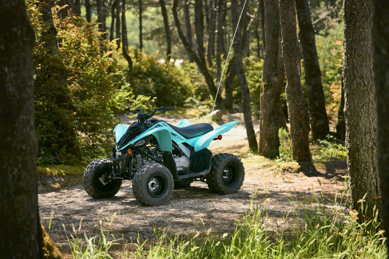 2024 Yamaha Raptor 110 in Geneva, Ohio - Photo 10