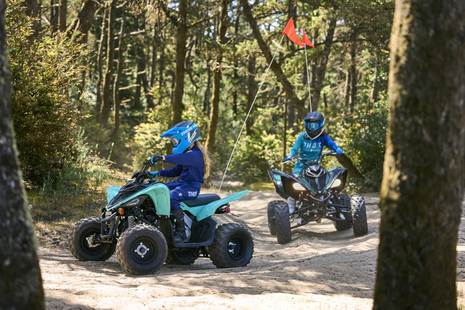 2024 Yamaha Raptor 110 in Derry, New Hampshire - Photo 12