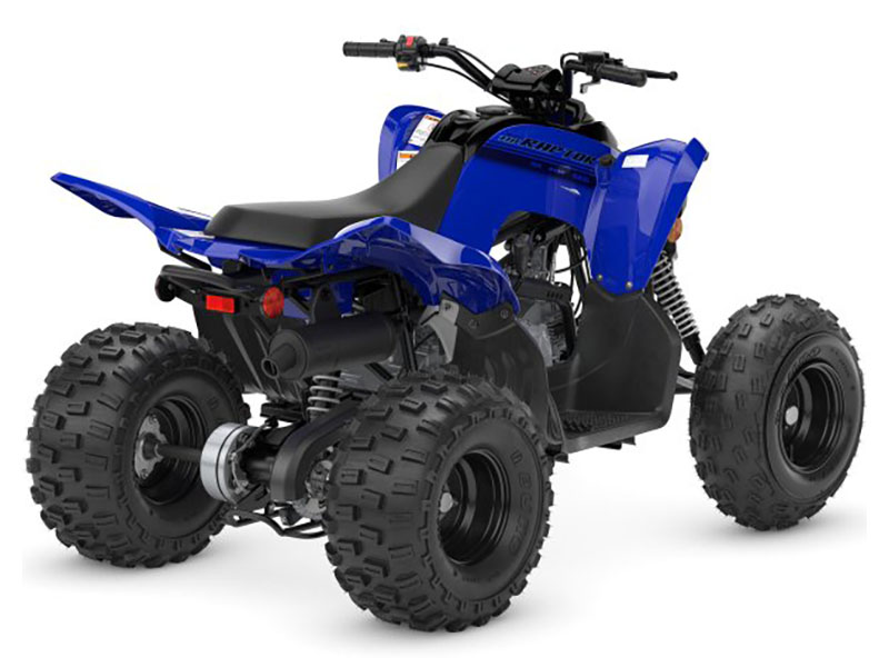 2024 Yamaha Raptor 110 in Vincentown, New Jersey - Photo 6