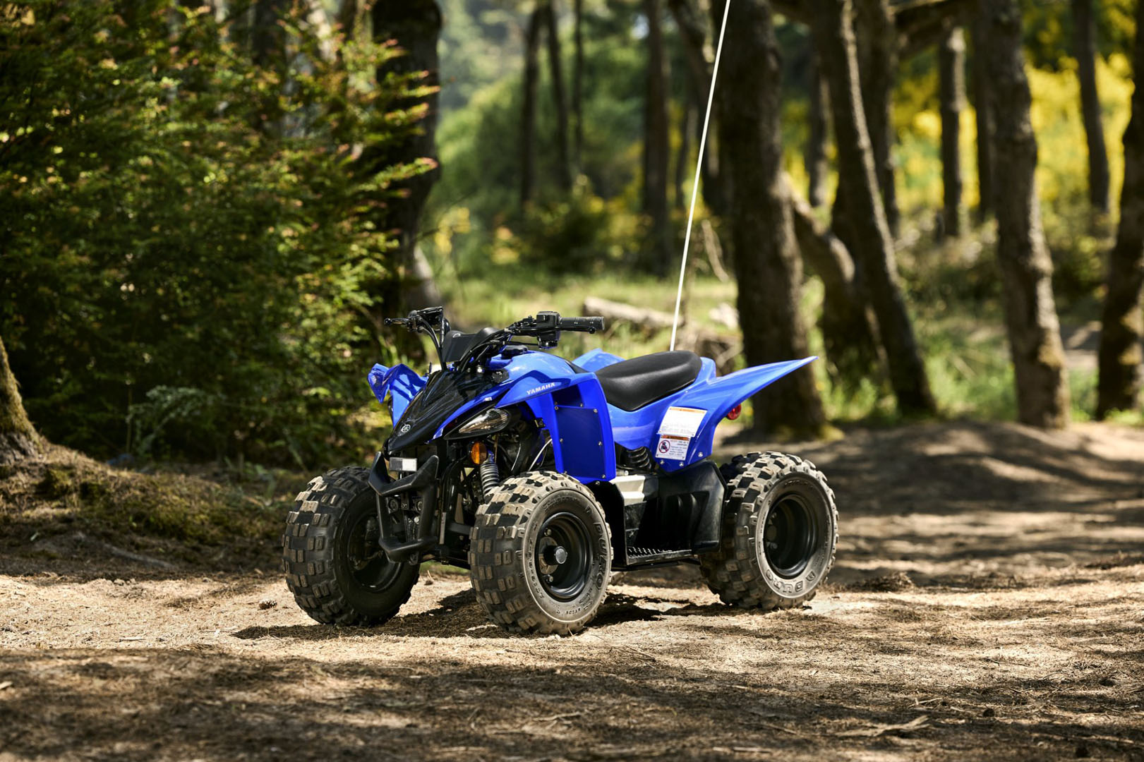 2024 Yamaha YFZ50 in New Haven, Connecticut - Photo 2