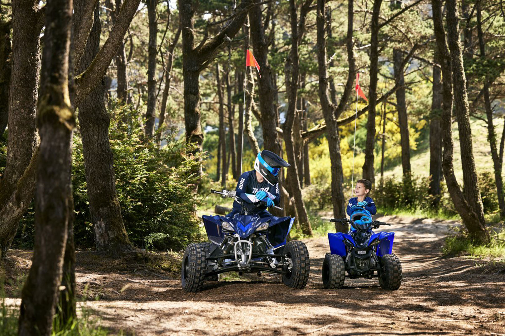 2024 Yamaha YFZ50 in New Haven, Connecticut - Photo 8