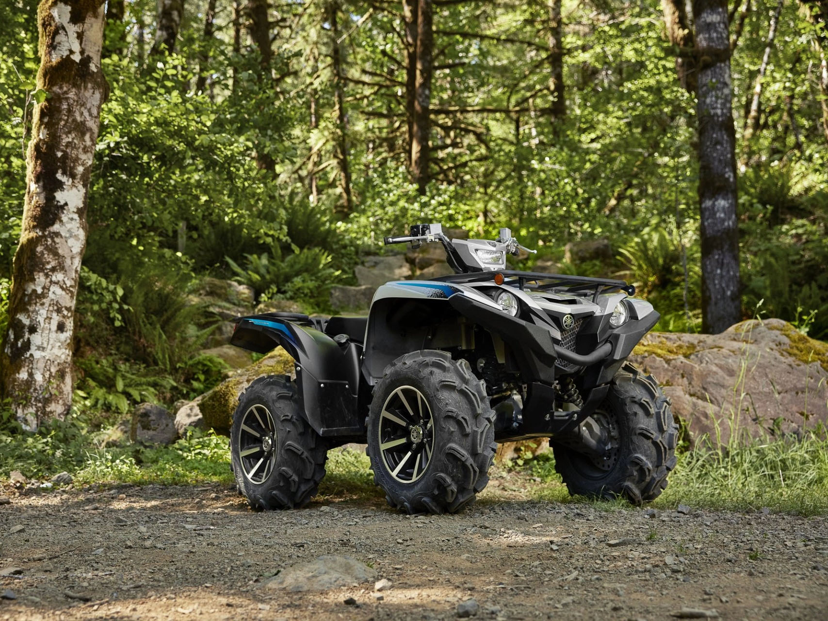 2024 Yamaha Grizzly EPS SE in Derry, New Hampshire - Photo 9