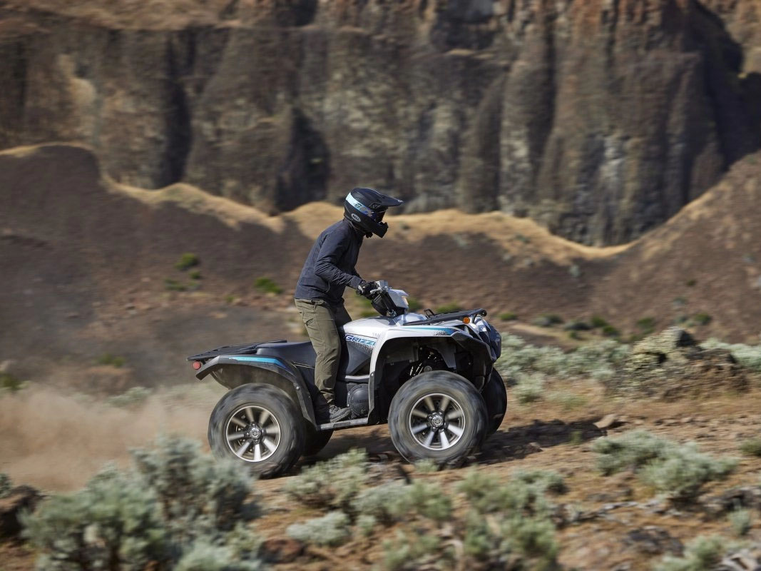 2024 Yamaha Grizzly EPS SE in Albuquerque, New Mexico - Photo 10