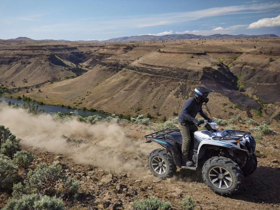 2024 Yamaha Grizzly EPS SE in Florence, Colorado - Photo 11