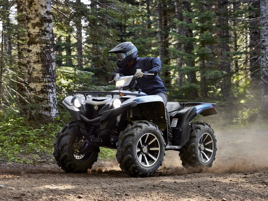 2024 Yamaha Grizzly EPS SE in Queens Village, New York - Photo 12