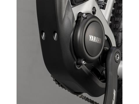 2024 Yamaha YDX-TORC - Large in Santa Rosa, California - Photo 2