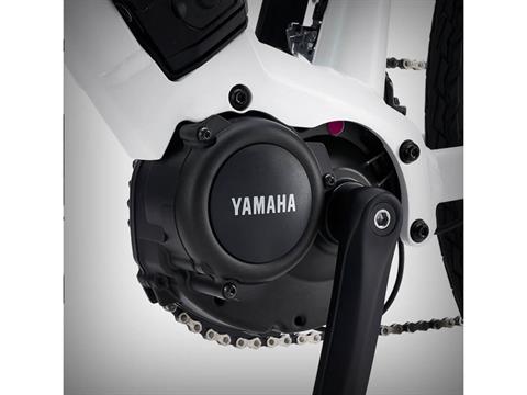 2024 Yamaha Civante - Large in Lockport, Illinois - Photo 7