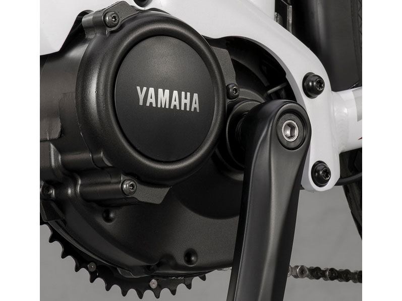 2024 Yamaha CrossConnect - Small in Petoskey, Michigan - Photo 3