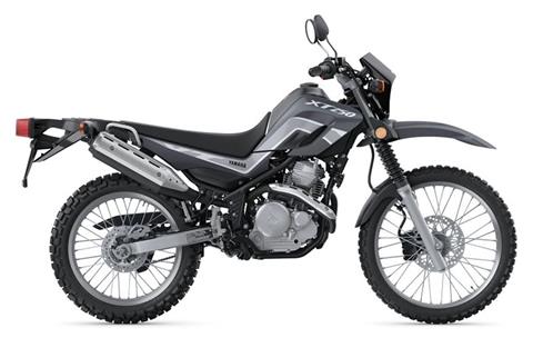 2024 Yamaha XT250 in Durham, North Carolina
