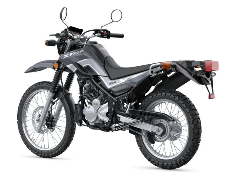 2024 Yamaha XT250 in New Haven, Connecticut - Photo 6