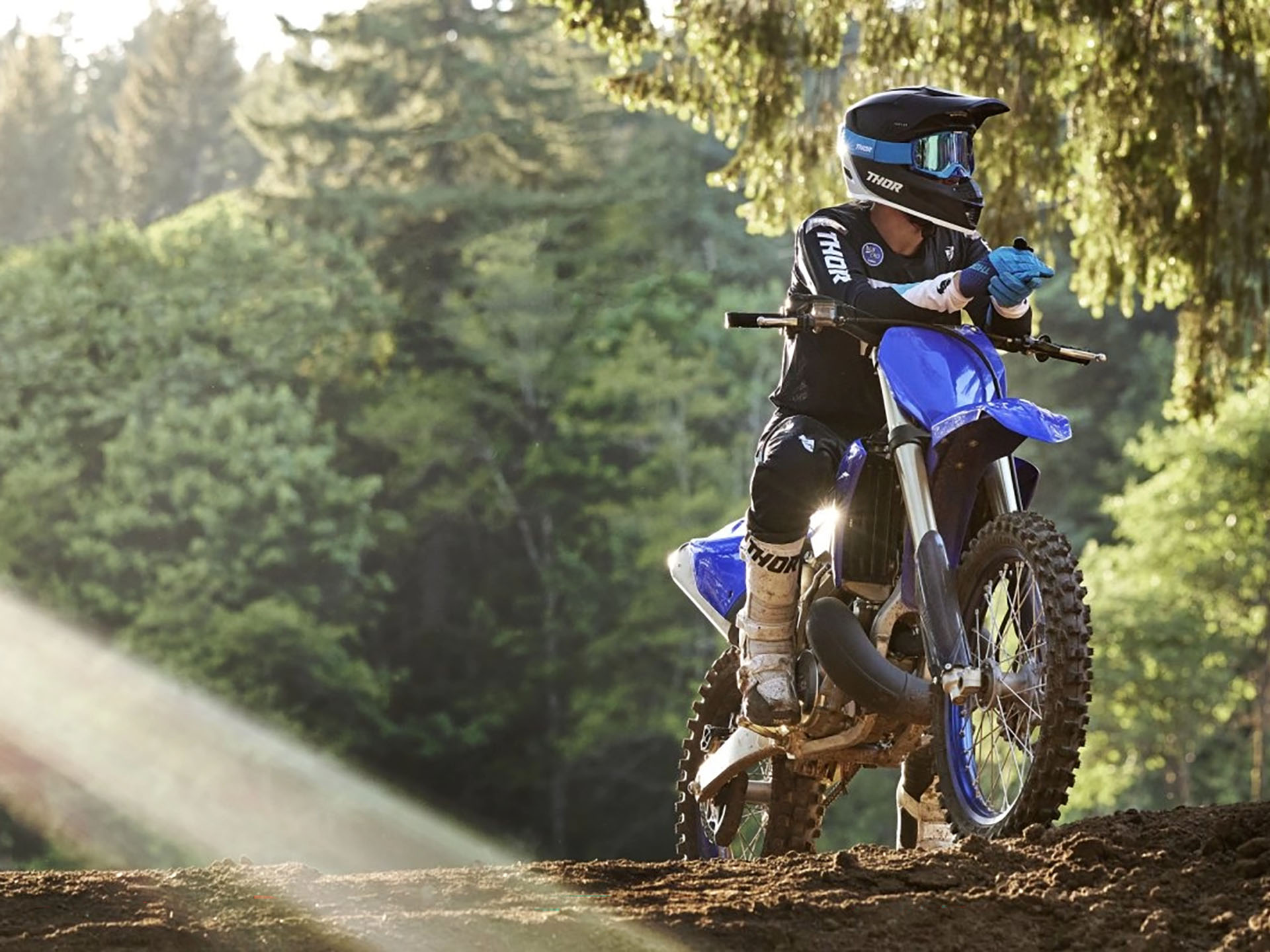 2024 Yamaha YZ250 in Vincentown, New Jersey - Photo 13