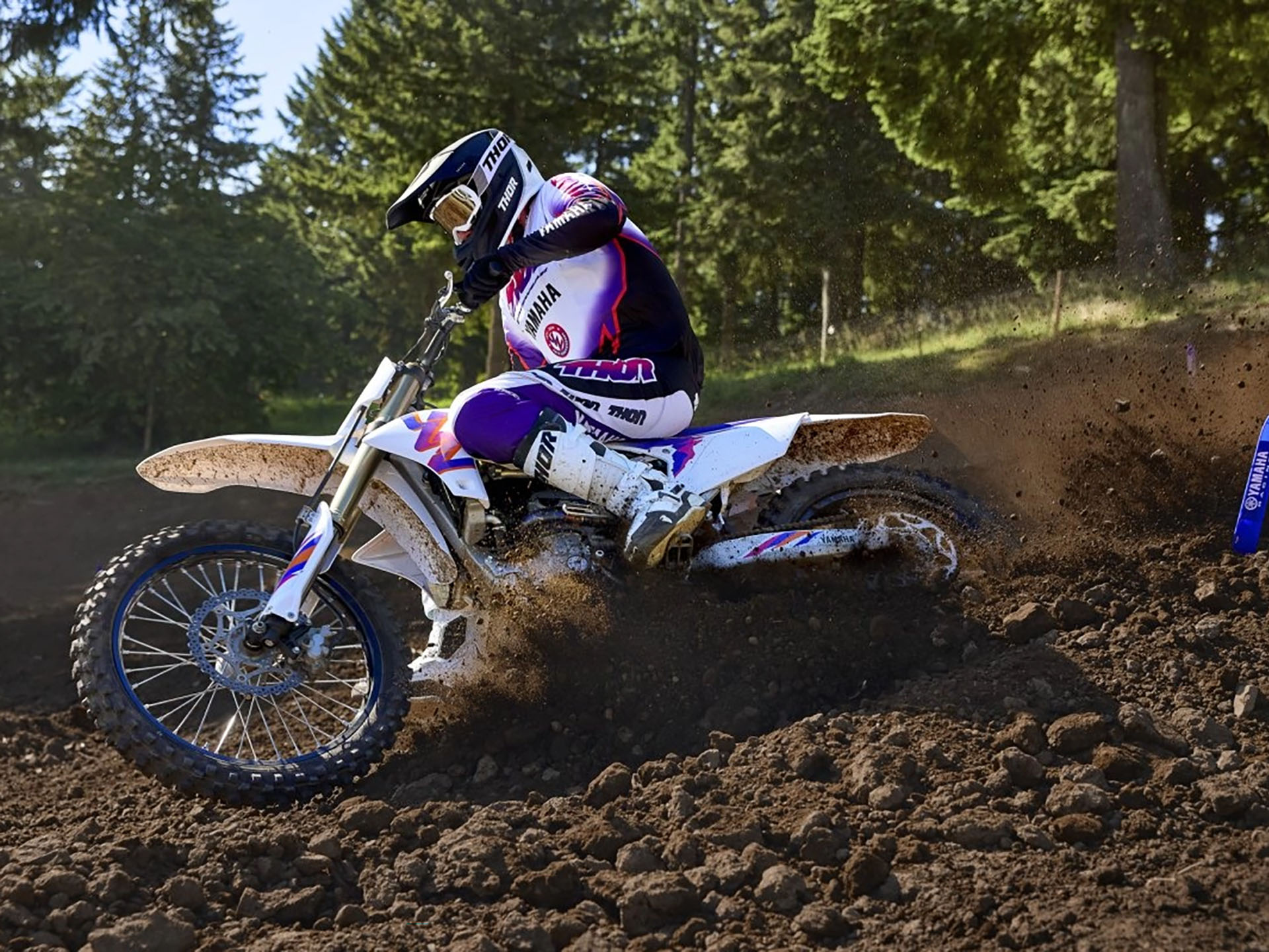 2024 Yamaha YZ250F 50th Anniversary Edition in Queens Village, New York - Photo 19