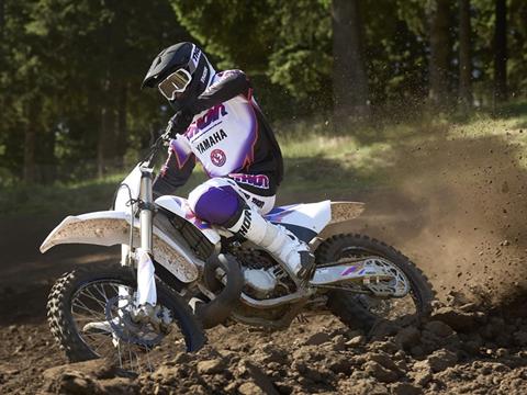 2024 Yamaha YZ250 50th Anniversary Edition in Vincentown, New Jersey - Photo 12