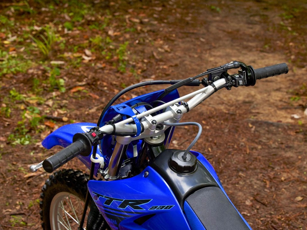 2024 Yamaha TT-R230 in Wake Forest, North Carolina - Photo 11