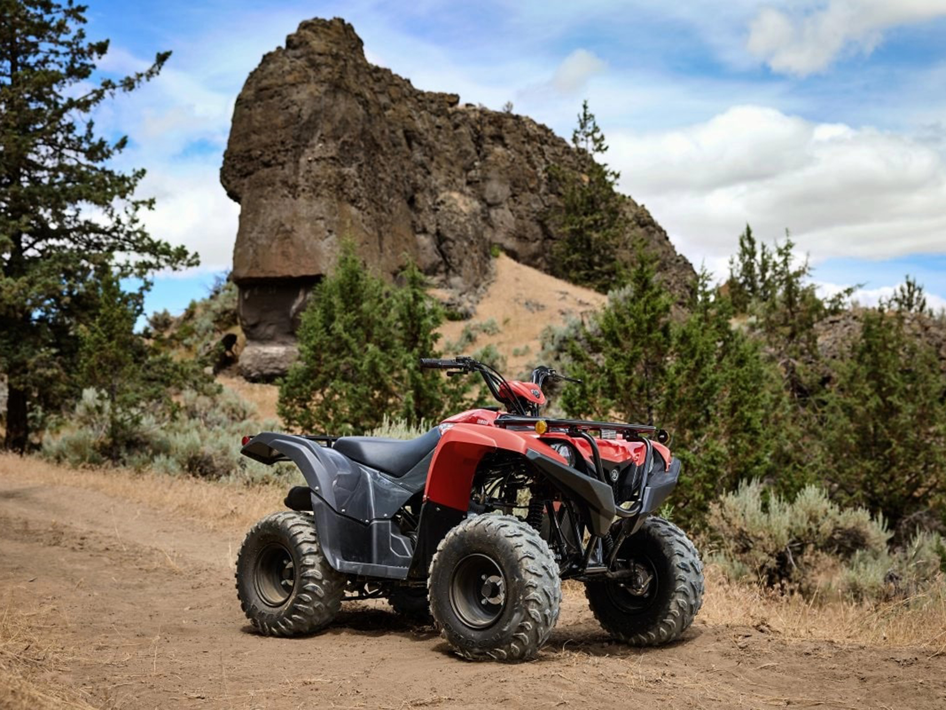 2025 Yamaha Grizzly 110 in Michigan Center, Michigan - Photo 17