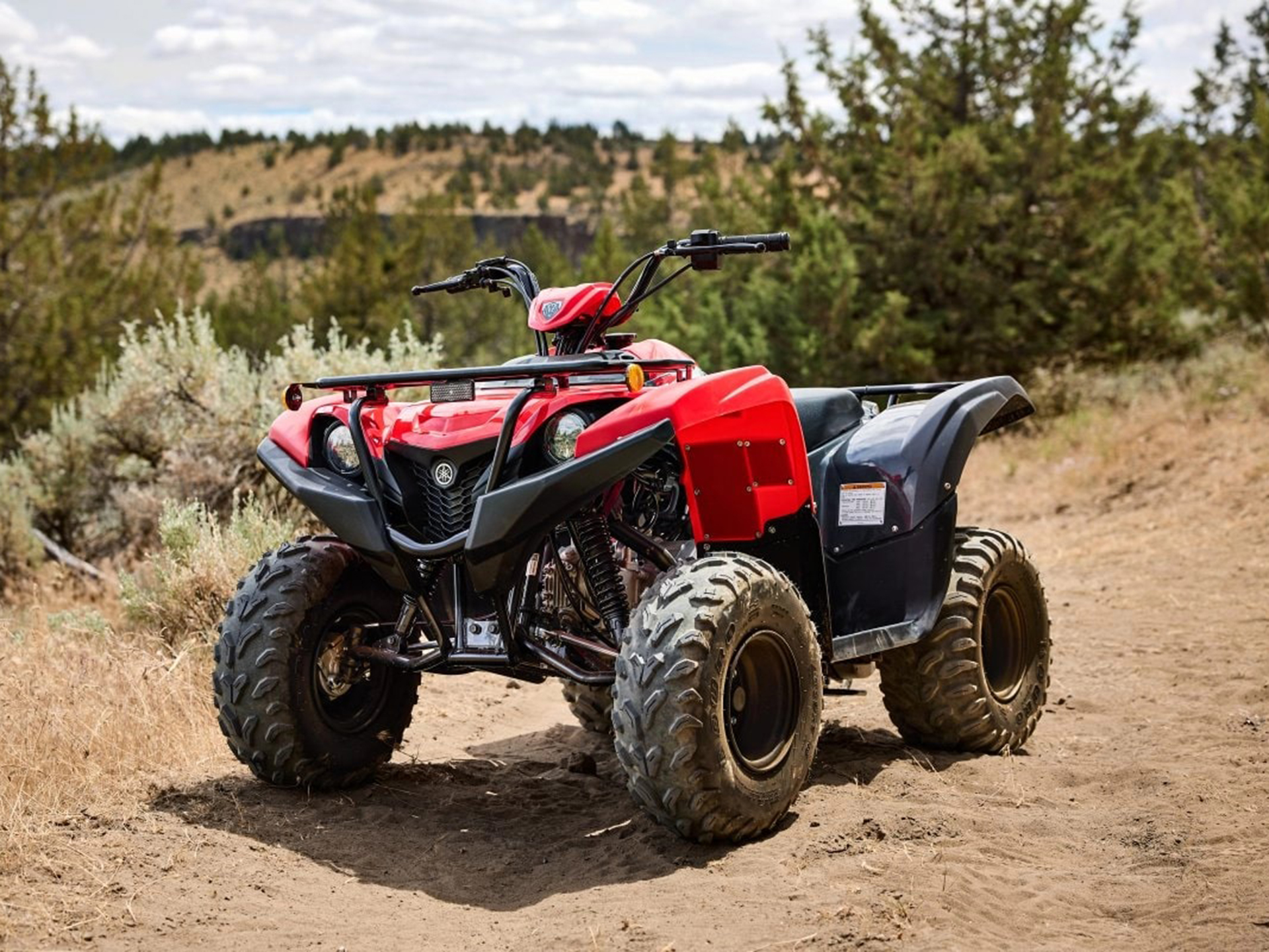 2025 Yamaha Grizzly 110 in Norfolk, Virginia - Photo 18