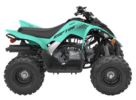 2025 Yamaha Raptor 110 in Redding, California - Photo 1