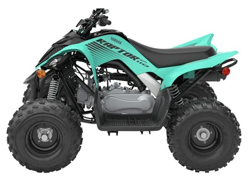 2025 Yamaha Raptor 110 in Redding, California - Photo 2