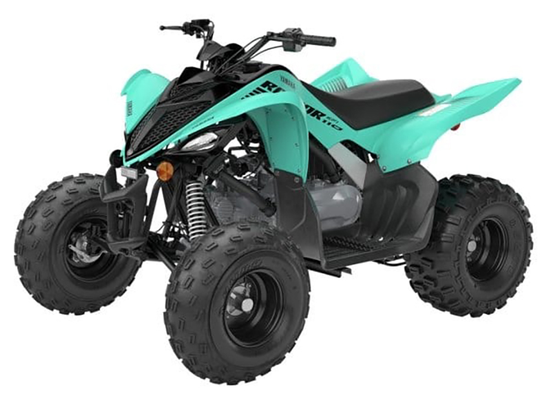 2025 Yamaha Raptor 110 in Redding, California - Photo 4