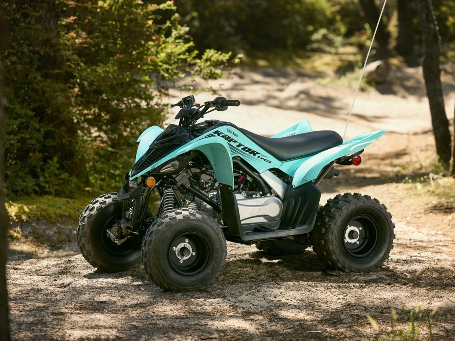 2025 Yamaha Raptor 110 in Hicksville, New York - Photo 9