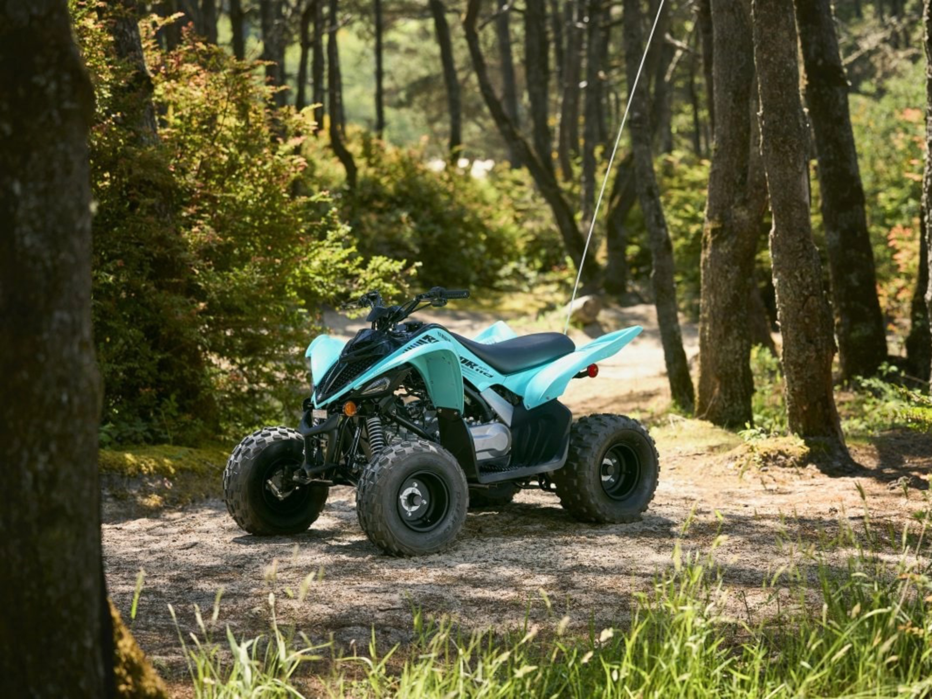 2025 Yamaha Raptor 110 in Santa Rosa, California - Photo 10