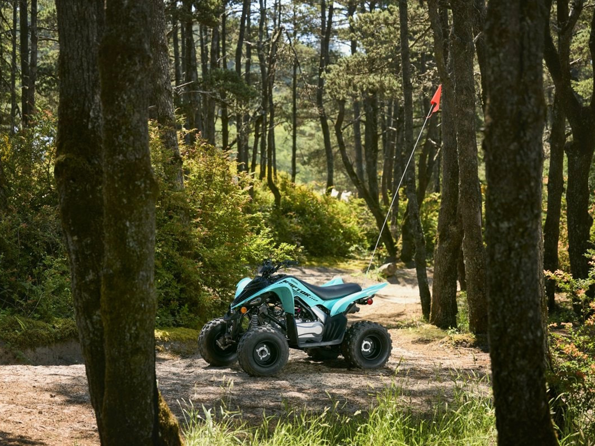 2025 Yamaha Raptor 110 in Gaylord, Michigan - Photo 11