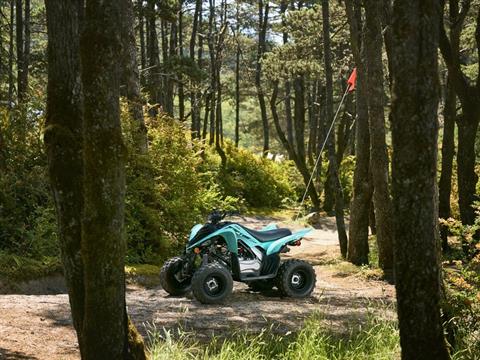 2025 Yamaha Raptor 110 in Santa Rosa, California - Photo 11