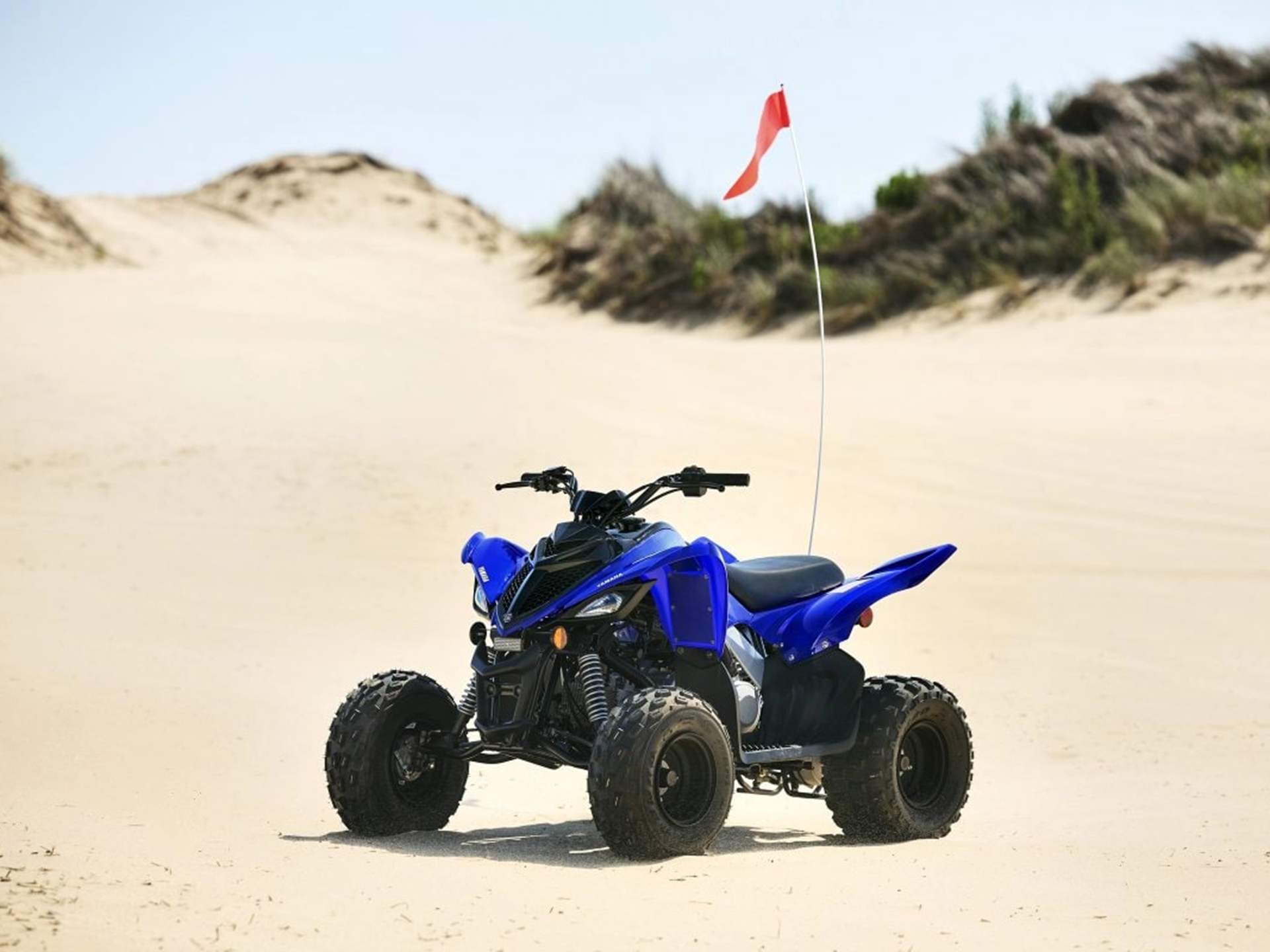 2025 Yamaha Raptor 110 in Corbin, Kentucky - Photo 13