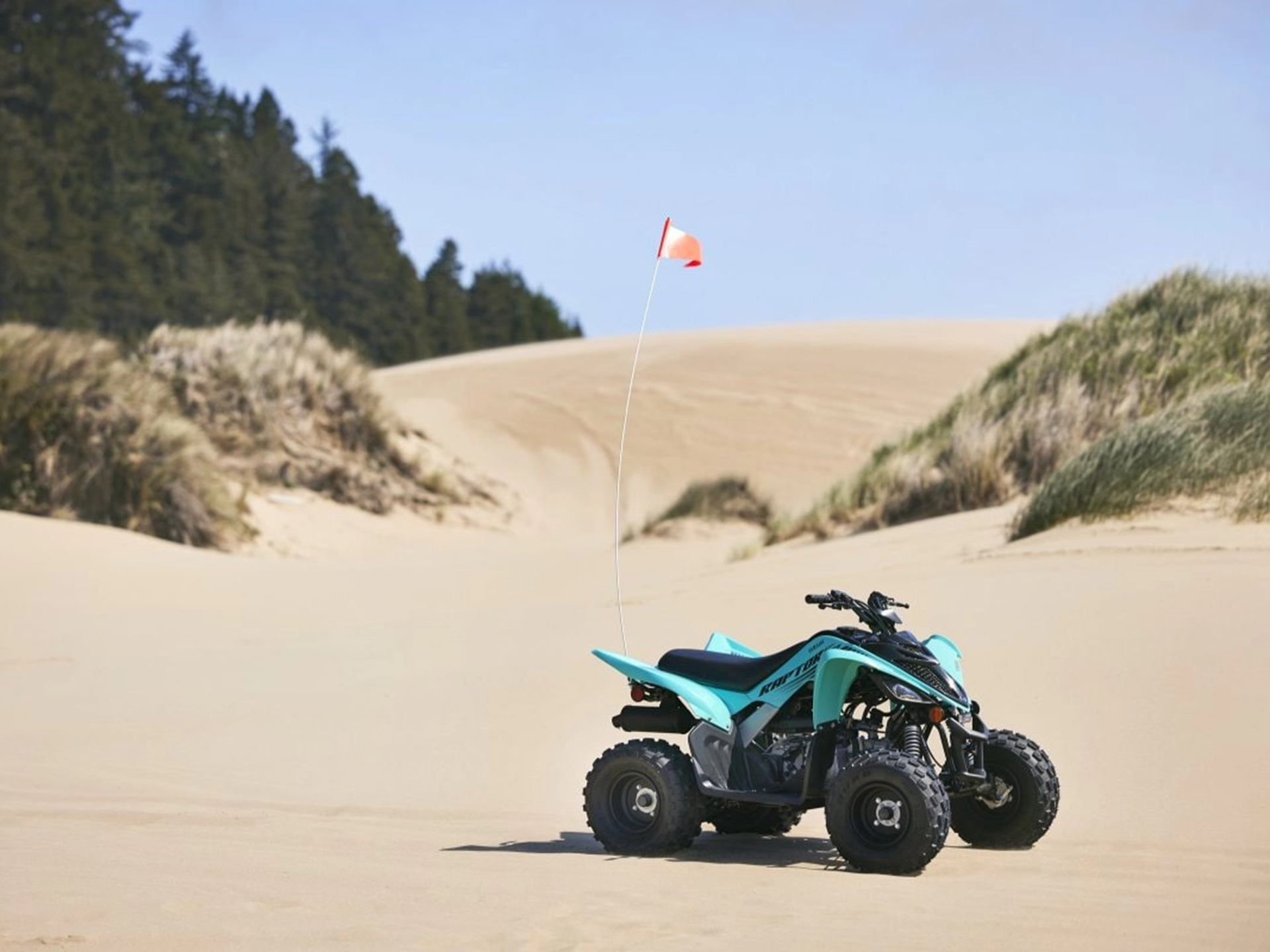 2025 Yamaha Raptor 110 in Santa Rosa, California - Photo 14