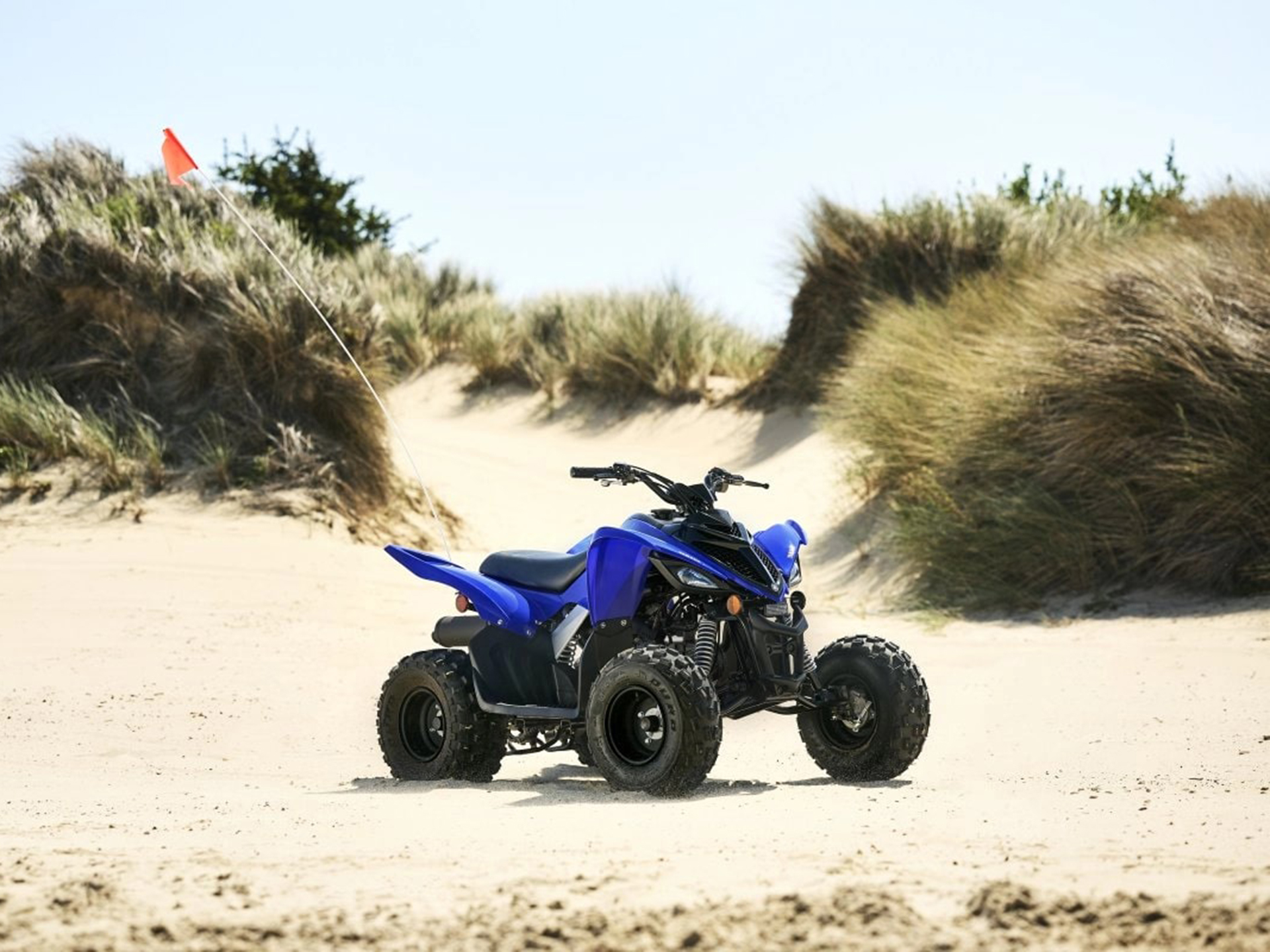 2025 Yamaha Raptor 110 in Gaylord, Michigan - Photo 15