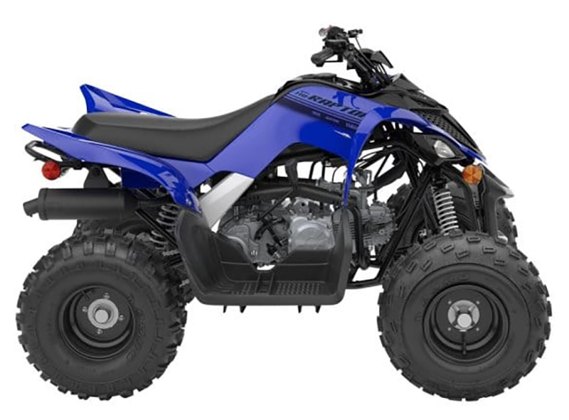 2025 Yamaha Raptor 110 in Homer, Alaska - Photo 1