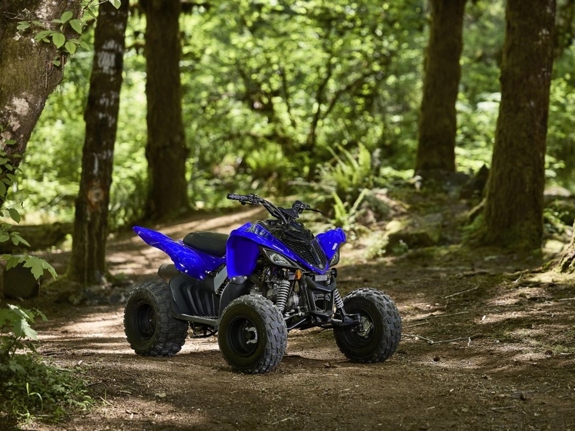 2025 Yamaha Raptor 110 in Gallup, New Mexico - Photo 18